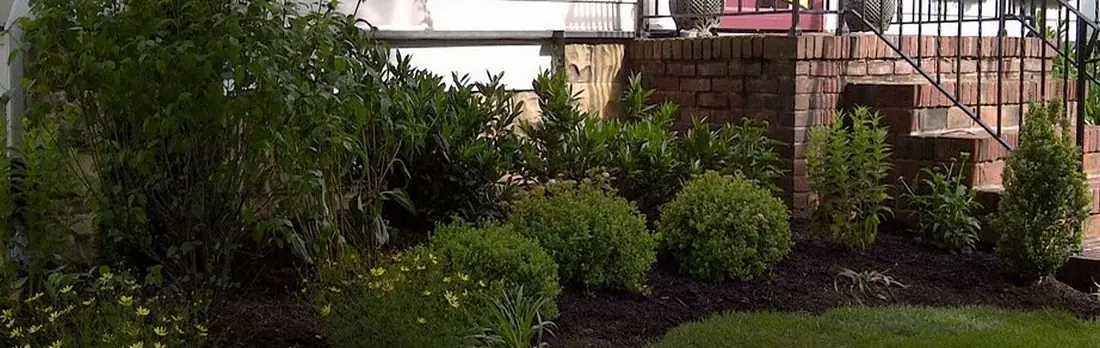 Front bed green shrubs.jpg